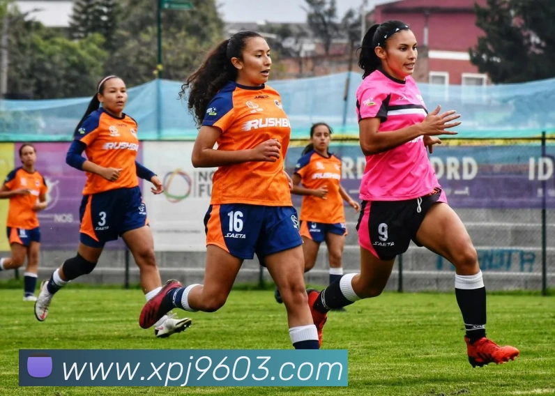 澳门新葡京官网平台生态图