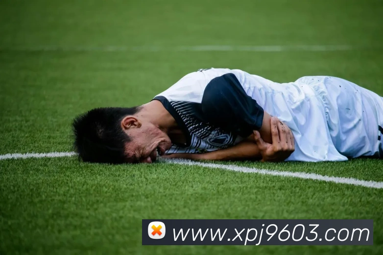 奖项证书